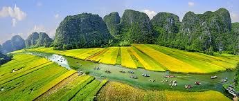 Ninh Binh tours: Option Hoa Lu - Tam Coc - Mua Cave